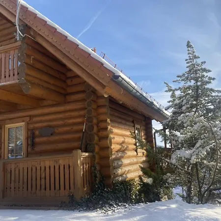 Проживание в семье Blockhaus *